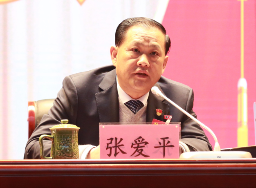 张爱平同志宣读中共BBVapp最新版下载第一届党委成员分工及纪委成员分工